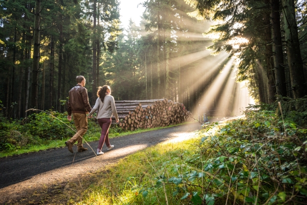 Wildpark Hotel (Bad Marienberg)